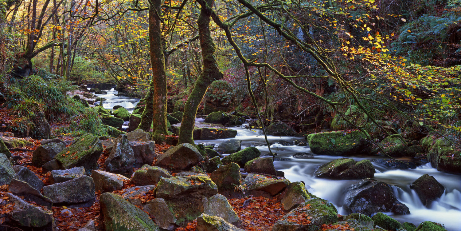 Golitha Falls