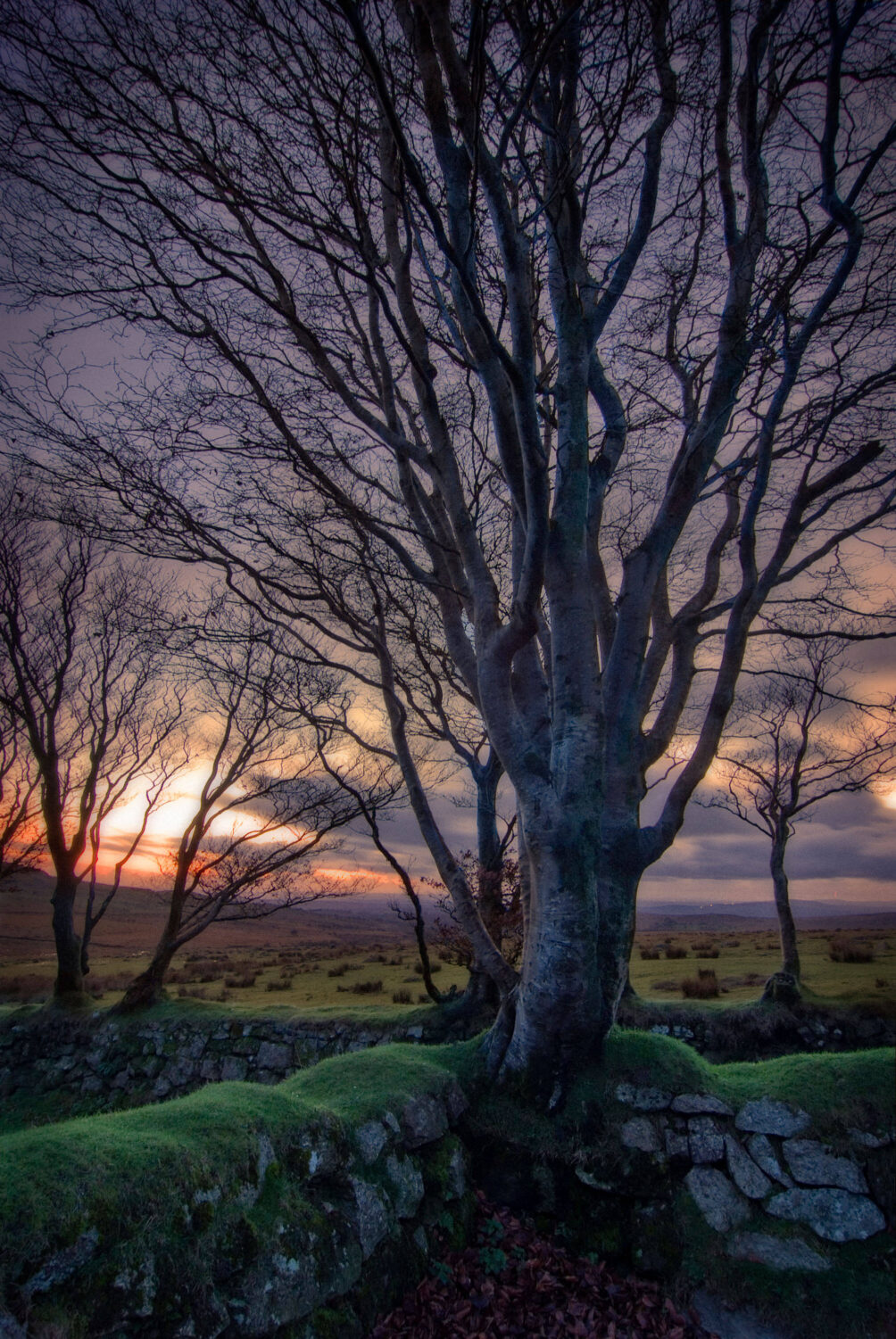 Dartmoor Sunset