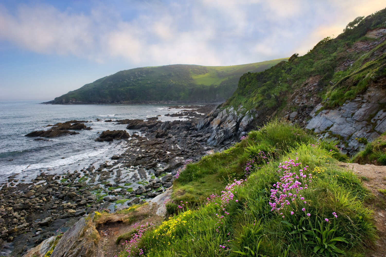 Samphire Shore