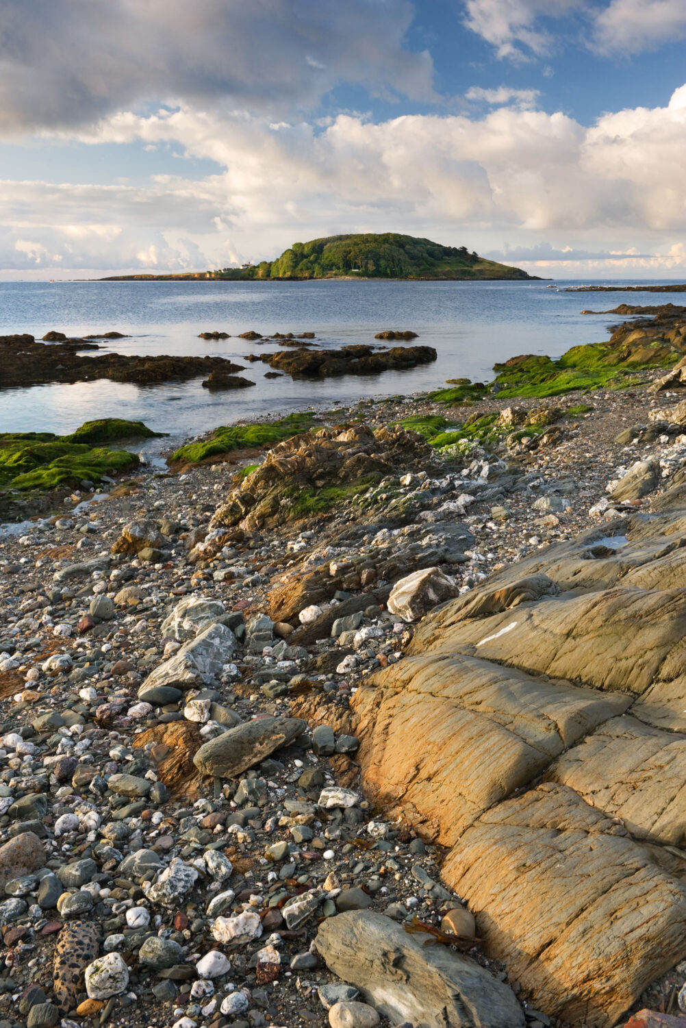 Hannafore Shore