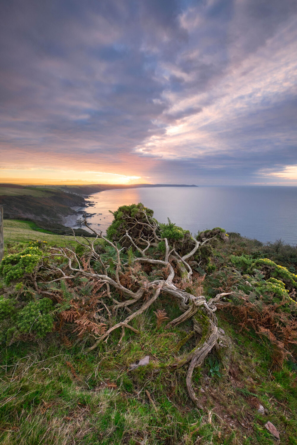 Whitsand Bay