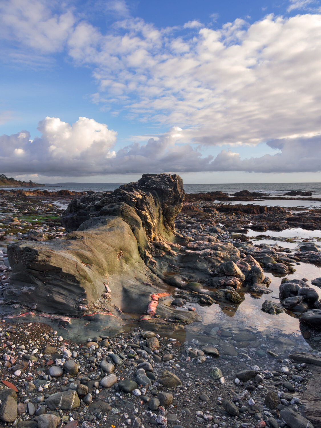 Seaton Shore