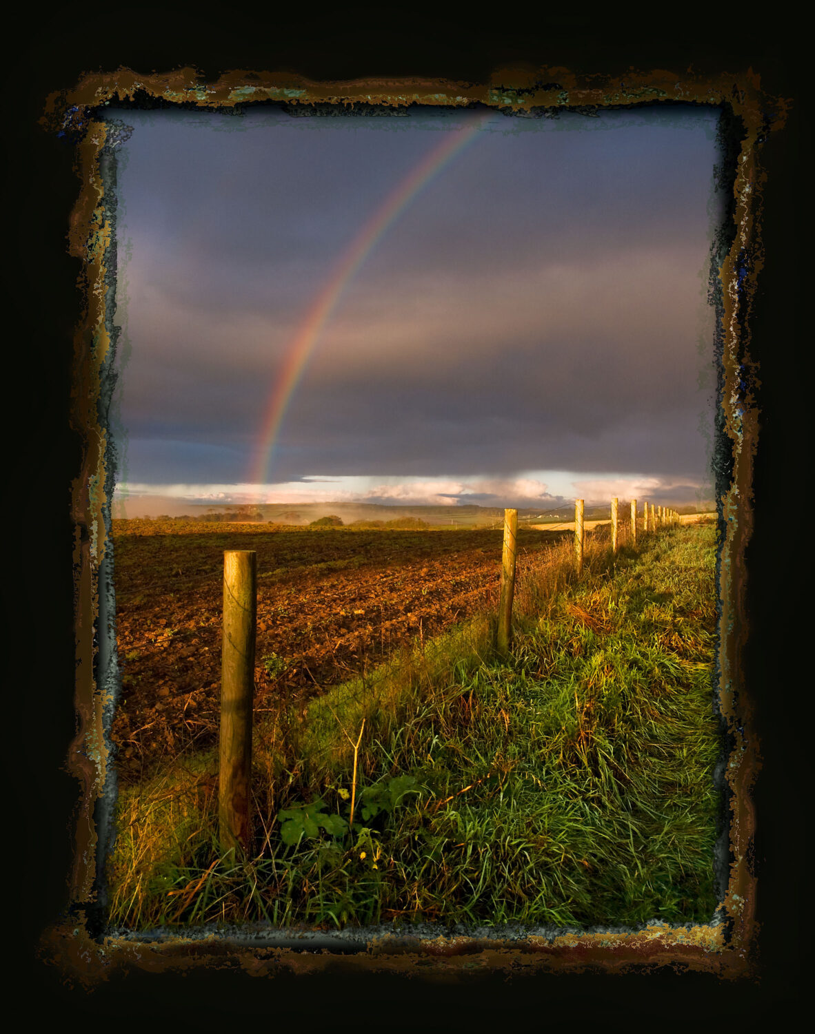 Horningtops Rainbow