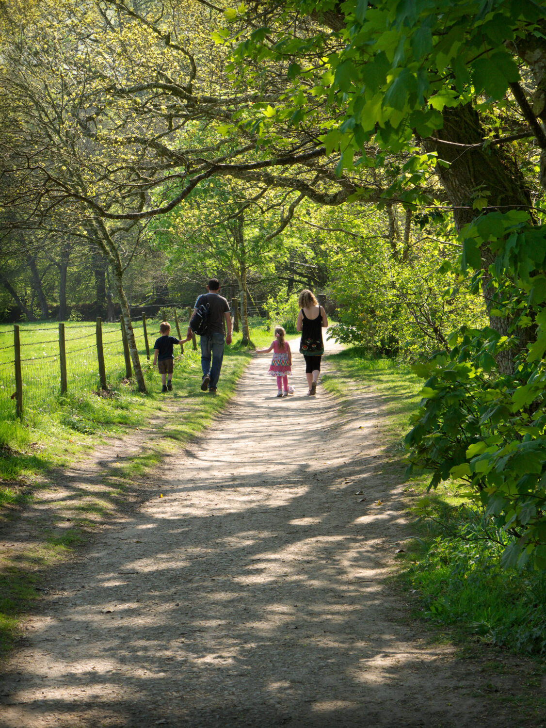 Family Stroll