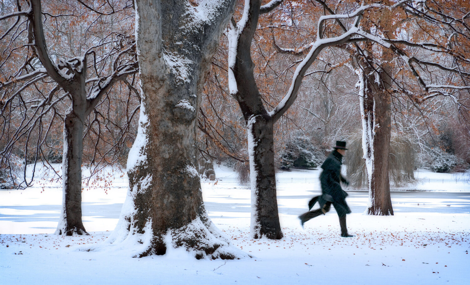 Hyde Park Snow