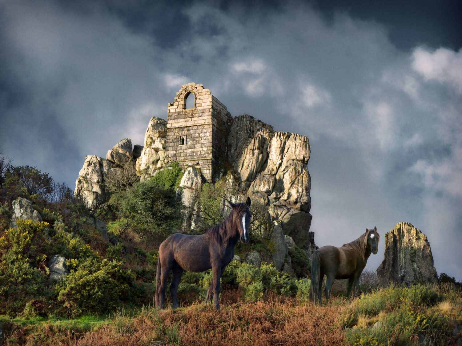 Roche Rock