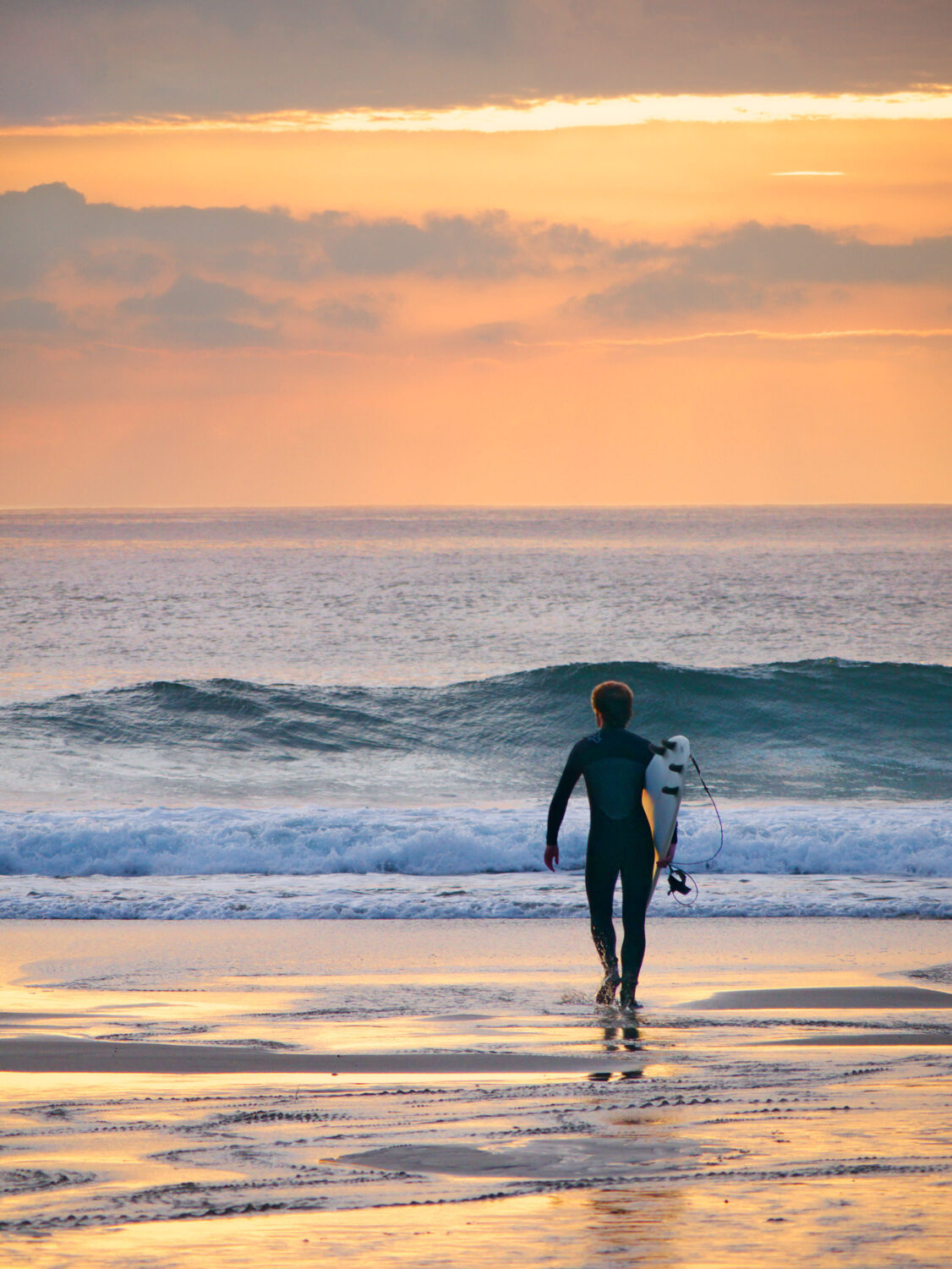 Surfer