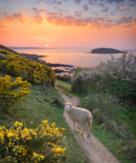 Looe Bay Sunrise