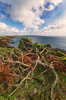 Whitsand Bay