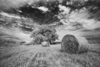 Lanreath Harvest