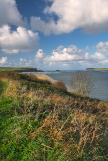 Camel Estuary